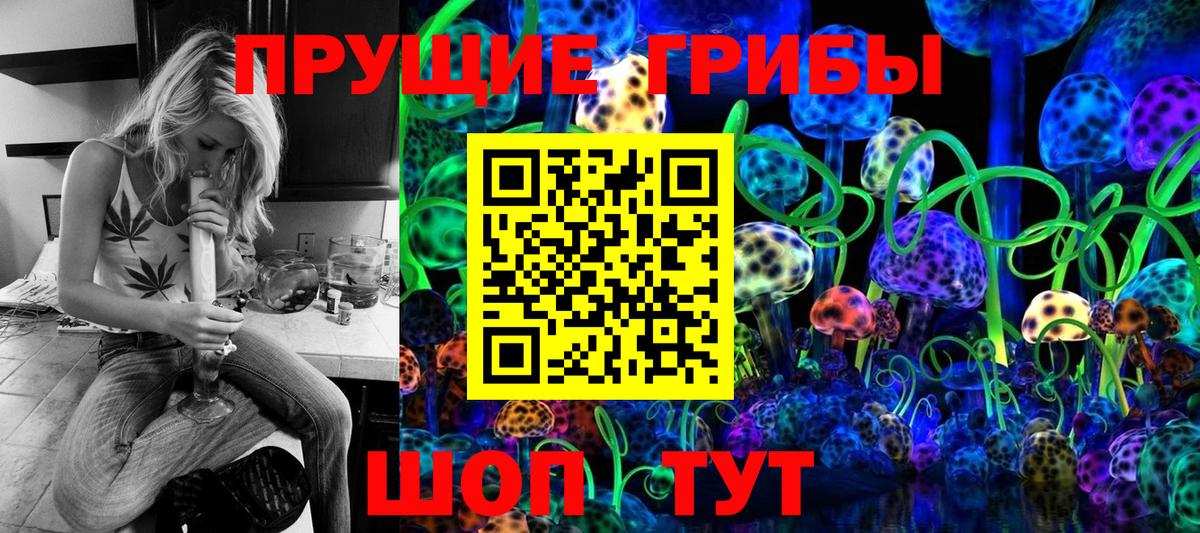 Галлюциногенные грибы прущие грибы Ржев