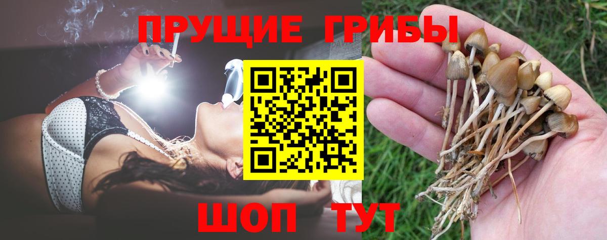 Псилоцибиновые грибы мицелий  Вход с VPN  Ржев 